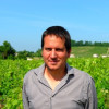 image_thumb_ACHAT DE 20 ARES DE VIGNES A CANON FRONSAC