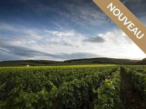 BnB Hautes-Côtes de Nuits