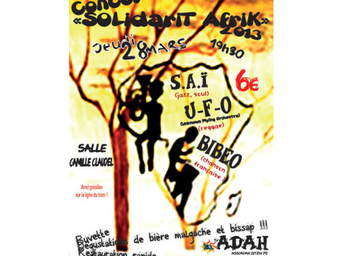 Concert SolidariTAfriK - Dijon 2013