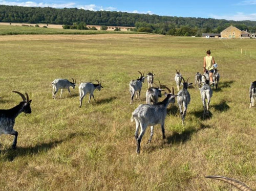 La Ferme des Domoiselles a besoin d'un coup de pouce !