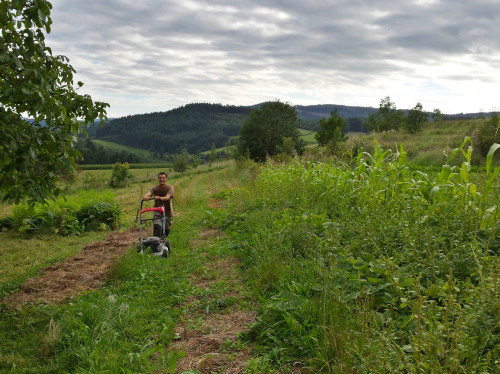 Forage du grand soir