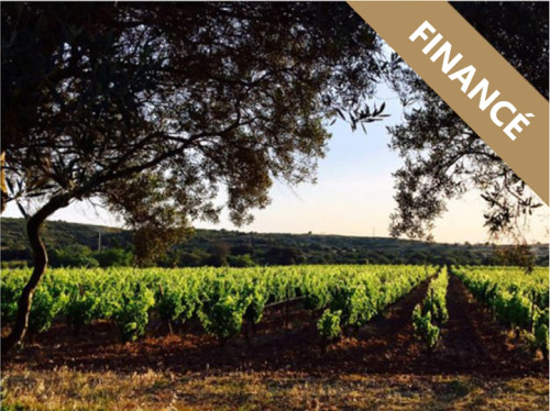 Domaine Les Mille Vignes