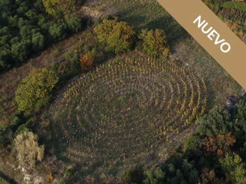 Domaine Allegria