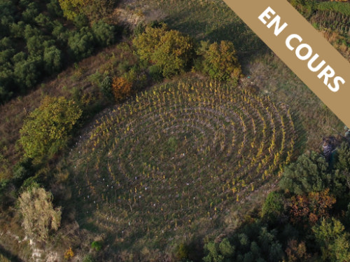 Domaine Allegria