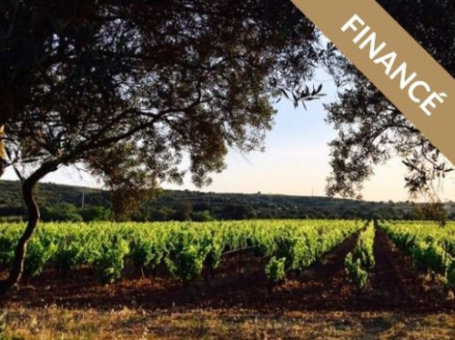 Domaine Les Mille Vignes