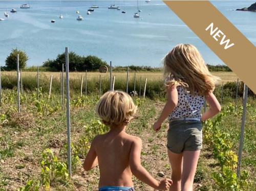 Les Longues Vignes