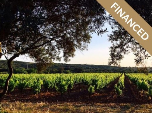 Domaine Les Mille Vignes
