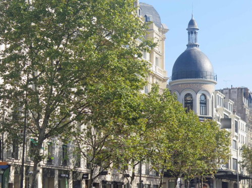 Av des Ternes