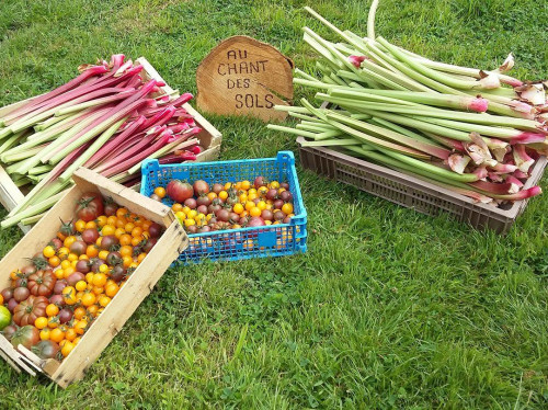 FAITES POUSSER LA MICRO-FERME BIO AU CHANT DES SOLS !