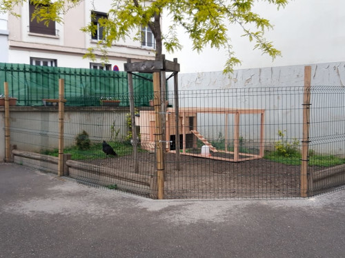 Kits poulaillers pédagogiques et écologiques - Ecoloupoule