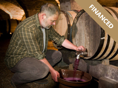 CREATING A BIODYNAMIC WINE PRODUCING COMPANY
