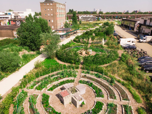 Voedseltuin Rotterdam
