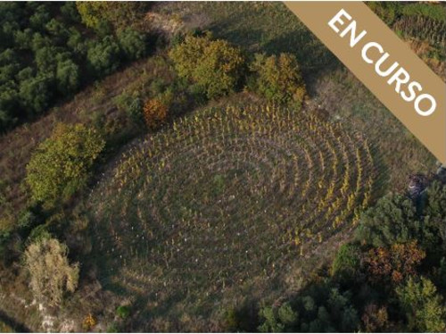 Domaine Allegria