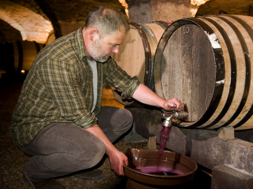 CREATING A BIODYNAMIC WINE PRODUCING COMPANY
