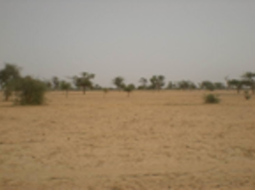 Purchasing equipment in Senegal