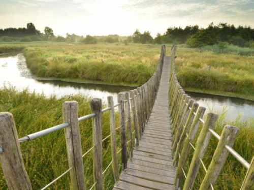 Speelnatuur in de tuin van het Hageven