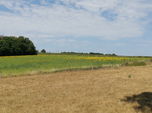 Les Tournesols, plus qu'un éco-lieu, un havre de paix