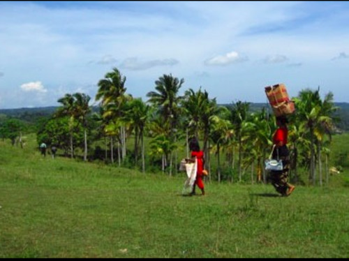 De l'eau pour Sumba