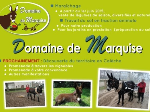 DOMAINE DE MARQUISE