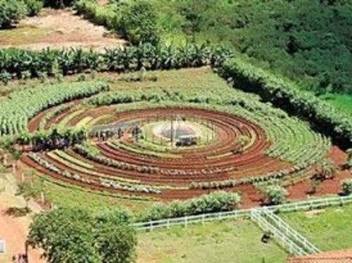 Le jardin des "choux-ettes"