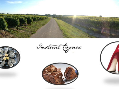 Thematic guided tours in the Cognac area