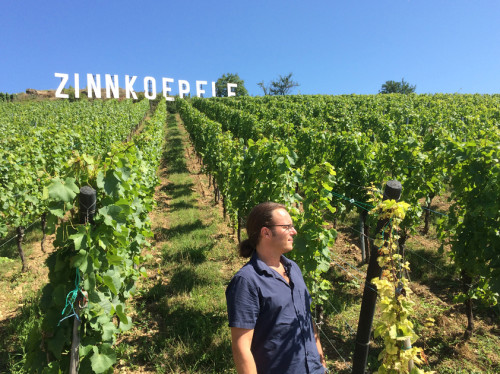 Production of a short movie on the Grand Cru Zinnkoepflé