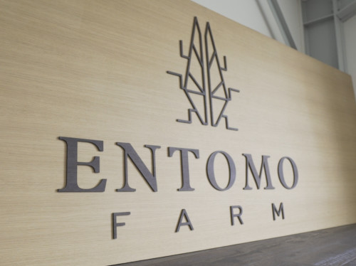 Entomo Farm, l'élevage d'insectes pour demain