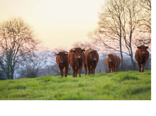 LA FERME A TOUT BOUT DE CHAMP OUVRE SES PORTES