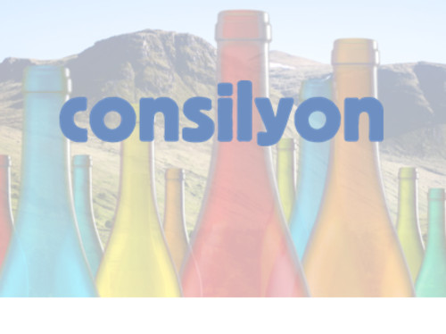 CONSILYON