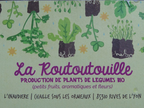 Construction et aménagement d'une serre en bois pour production bio de jeunes plants potagers