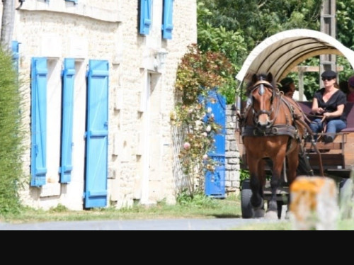 Les Roulottes de l'abbaye : Calèches en détresse