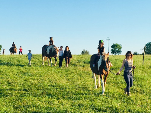 Des chevaux pour des relations écologiques