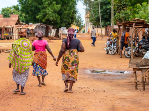 Du résidu agricole à l'énergie : la gazéification pour la coopérative Ayiminazé