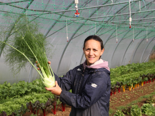 Les Jardins de Nisou : de bons légumes au pied des volcans