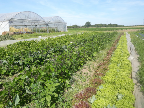 Ferme des Hauts Jardins cherche nid douillet pour outils non rouillés