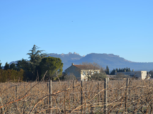 La Terre des Ondines