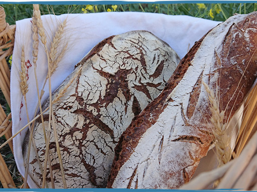 Hé Pardi ! le micro fournil bio au levain