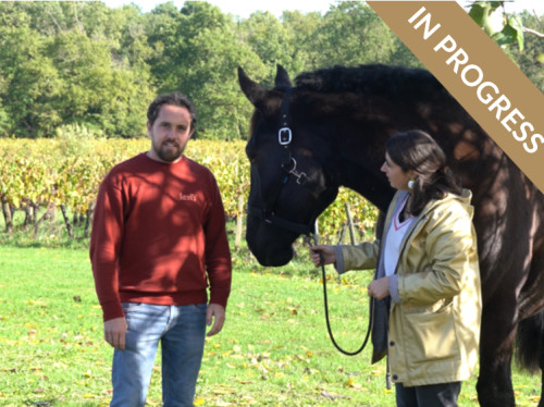 DOMAINE BAUDON