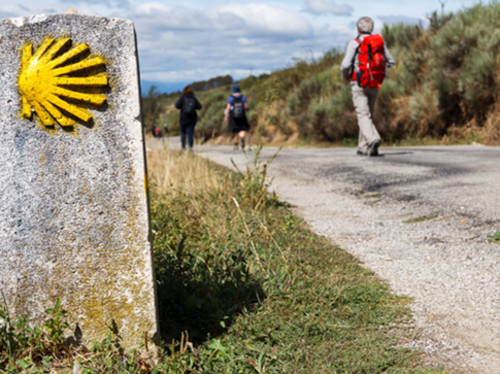 Vers Compostelle : proposer un pèlerinage pour des jeunes de confessions différentes 