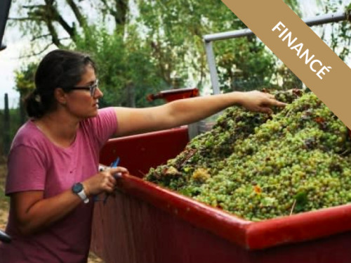 Domaine Marielle Michot