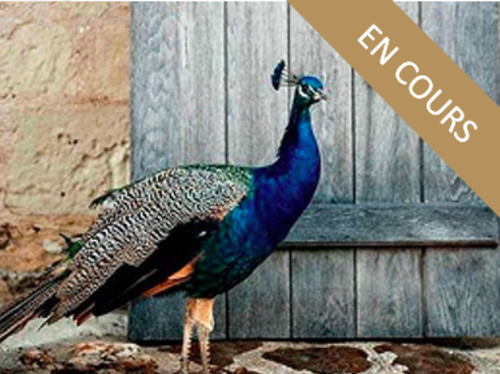 DOMAINE PAON PERCHÉ