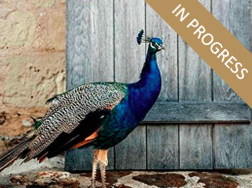 DOMAINE PAON PERCHÉ