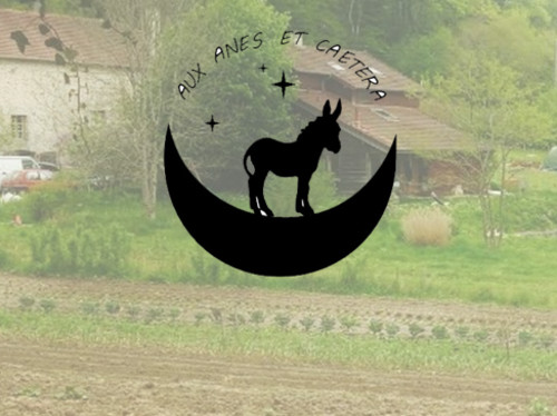 AUX ÂNES ET CAETERA