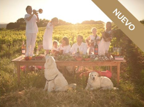 Domaine Allegria