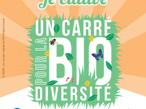 Environnement - Un carré pour la biodiversité