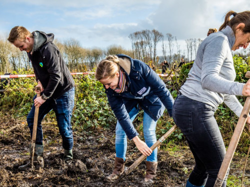 het Groene Woud in Brabant