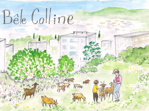 Bêle Colline, l'éco-pâturage : écologique et participatif