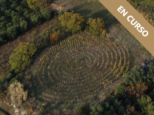 Domaine Allegria
