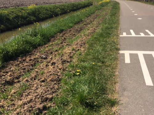 Bloemrijk Beusichem-Zoelmond