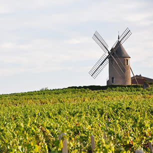 moulin à vent